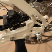 Load image into Gallery viewer, 3 - Classic Electric (Medium)